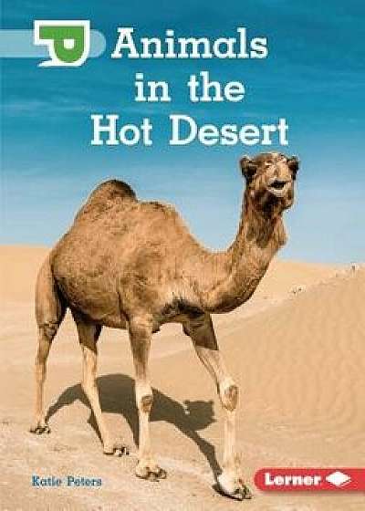 Animals in the Hot Desert, Paperback/Katie Peters