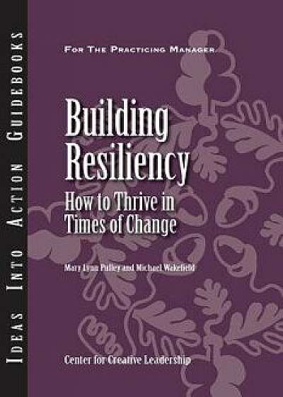 Building Resiliency: How to Thrive in Times of Change, Paperback/Mary Lynn Pulley