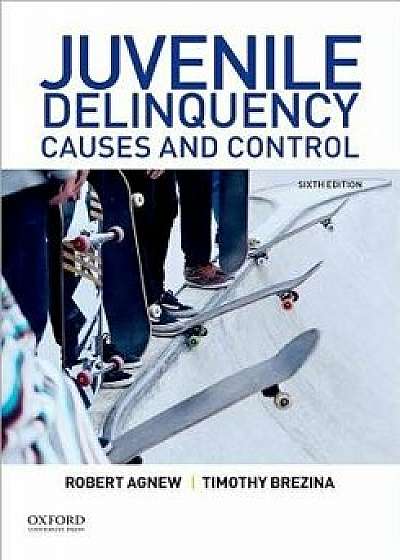 Juvenile Delinquency: Causes and Control, Paperback/Robert Agnew
