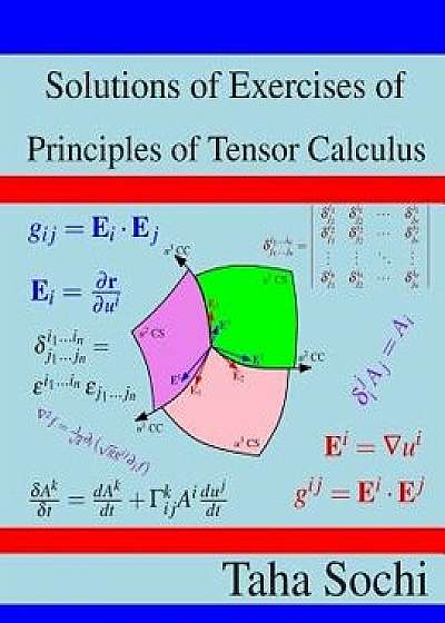 Solutions of Exercises of Principles of Tensor Calculus, Paperback/Taha Sochi