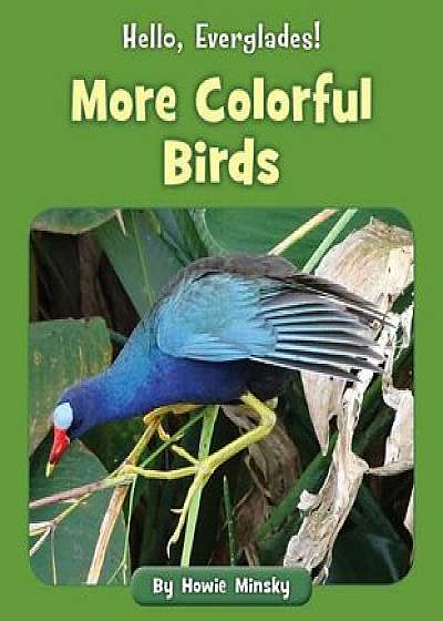 More Colorful Birds, Paperback/Howie Minsky