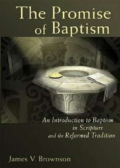 The Promise of Baptism: An Introduction to Baptism in Scripture and the Reformed Tradition, Paperback/James V. Brownson