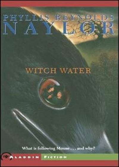 Witch Water, Paperback/Phyllis Reynolds Naylor