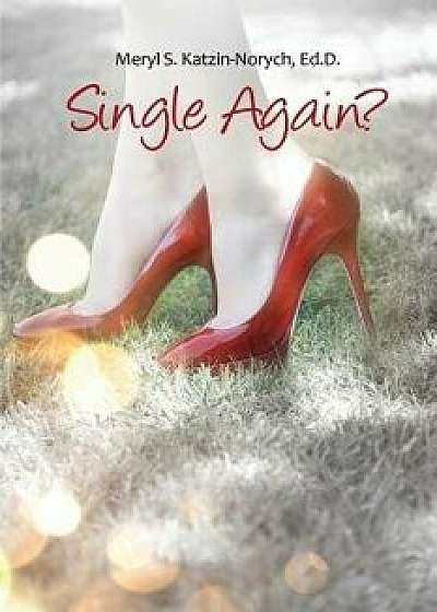 Single Again?, Paperback/Ed D. Meryl S. Katzin-Norych