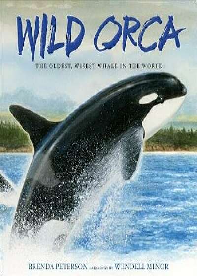 Wild Orca: The Oldest, Wisest Whale in the World, Hardcover/Brenda Peterson