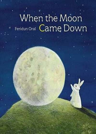 When the Moon Came Down, Hardcover/Feridun Oral