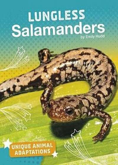 Lungless Salamanders/Emily Hudd