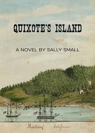 Quixote's Island/Sally Small