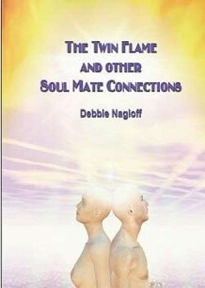 The Twin Flame and Other Soul Mate Connections (Handy Size), Paperback/Debbie Nagioff
