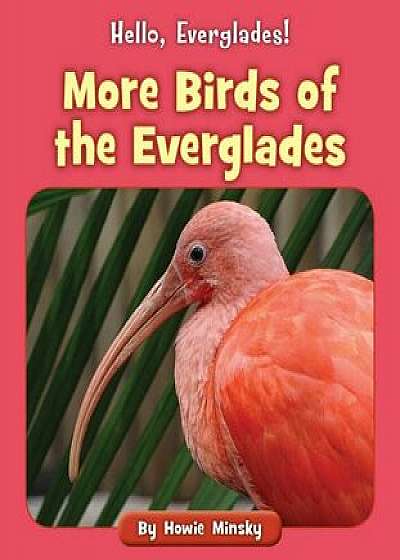 More Birds of the Everglades, Paperback/Howie Minsky