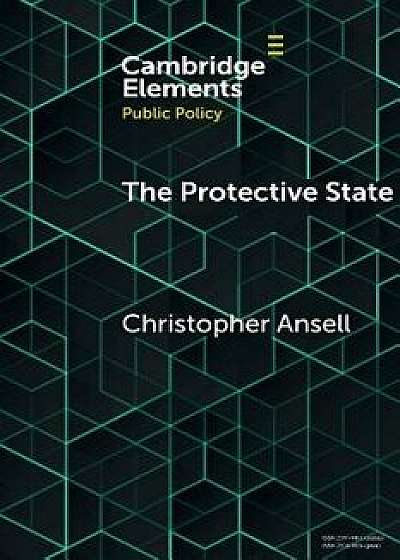 The Protective State, Paperback/Christopher Ansell