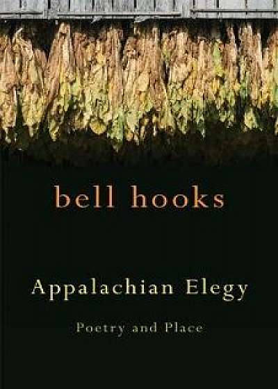 Appalachian Elegy: Poetry and Place, Paperback/Bell Hooks