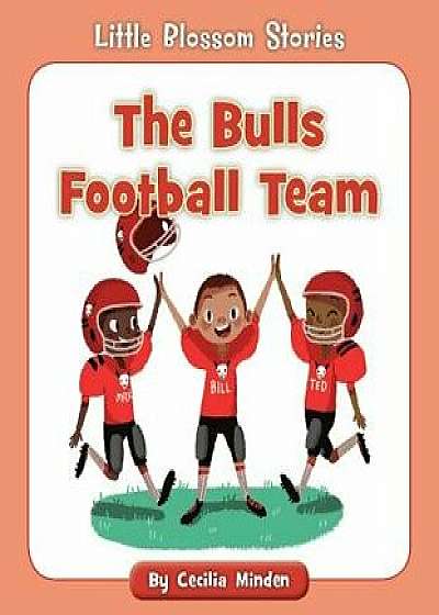 The Bulls Football Team, Paperback/Cecilia Minden