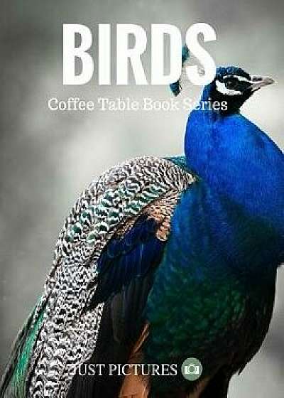 Birds: Coffee Table Book Series, Paperback/Just Pictures