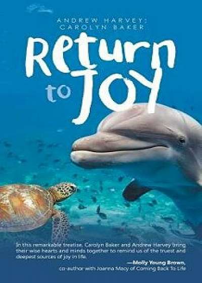 Return to Joy, Paperback/Andrew Harvey
