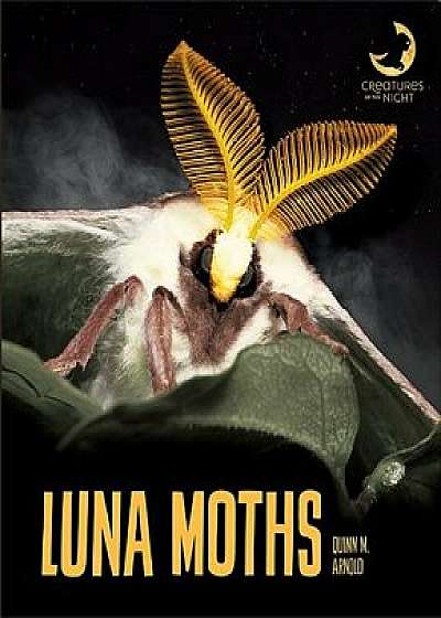 Luna Moths, Paperback/Quinn M. Arnold