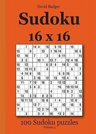 Sudoku 16 X 16: 100 Sudoku Puzzles Volume 3, Paperback/David Badger