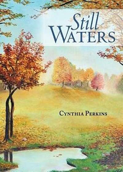 Still Waters, Paperback/Cynthia Perkins