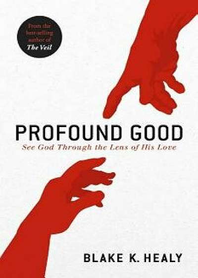 Profound Good: See God Through the Lens of His Love, Paperback/Blake K. Healy
