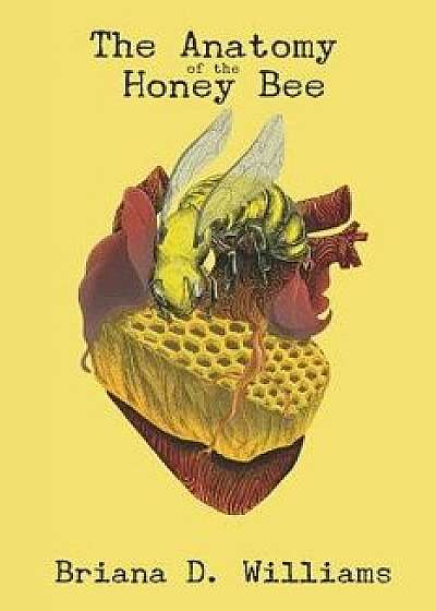 The Anatomy of the Honey Bee, Paperback/Briana Danielle Williams