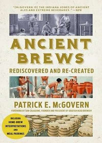 Ancient Brews: Rediscovered and Re-Created, Paperback/Patrick E. McGovern