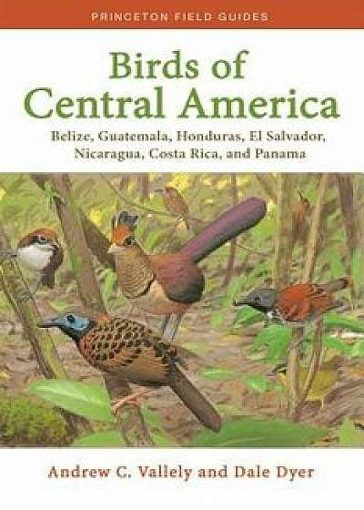 Birds of Central America: Belize, Guatemala, Honduras, El Salvador, Nicaragua, Costa Rica, and Panama, Paperback/Andrew Vallely