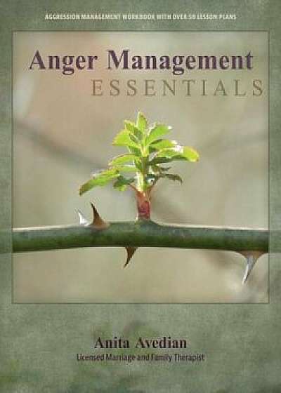 Anger Management Essentials: A Workbook for People to Manage Their Aggression, Paperback/Anita Avedian Lmft