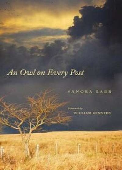 An Owl on Every Post, Paperback (3rd Ed.)/Sanora Babb