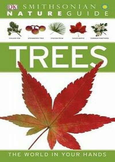 Nature Guide: Trees: The World in Your Hands, Paperback/Tony Russell