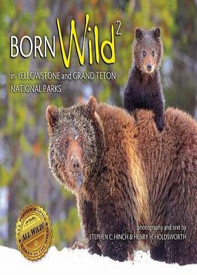 Born Wild 2: In Yellowstone and Grand Teton National Parks, Paperback/Stephen C. Hinch