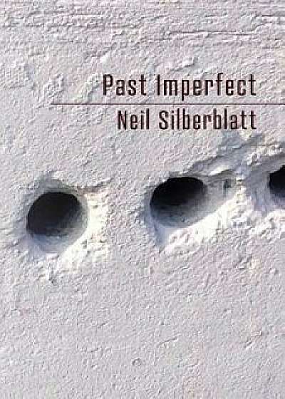 Past Imperfect, Paperback/Neil Silberblatt