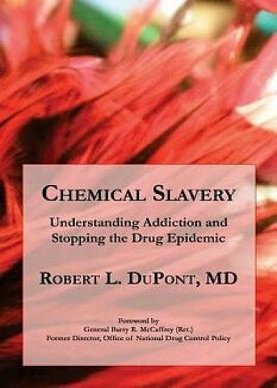 Chemical Slavery: Understanding Addiction and Stopping the Drug Epidemic, Paperback/Dr Robert L. DuPont MD