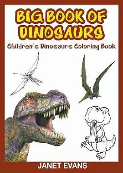 Book of Dinosaurs: Children's Coloring Book, Paperback/Janet Evans
