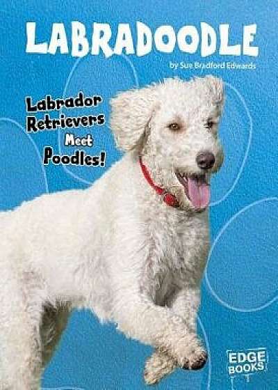 Labradoodle: Labrador Retrievers Meet Poodles!/Sue Bradford Edwards