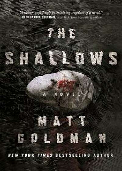 The Shallows: A Nils Shapiro Novel, Hardcover/Matt Goldman