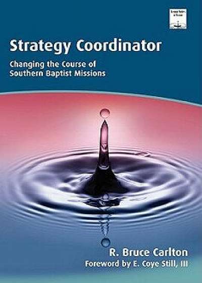 Strategy Coordinator, Paperback/R. Bruce Carlton