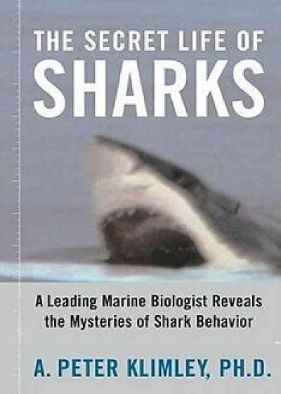 The Secret Life of Sharks: A Leading Marine Biologist Reveals the Mysteries of Shark Behavior, Paperback/A. Peter Klimley