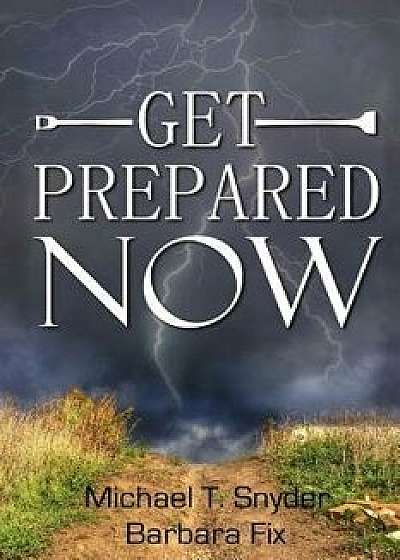 Get Prepared Now!: Why a Great Crisis Is Coming & How You Can Survive It, Paperback/Michael Snyder