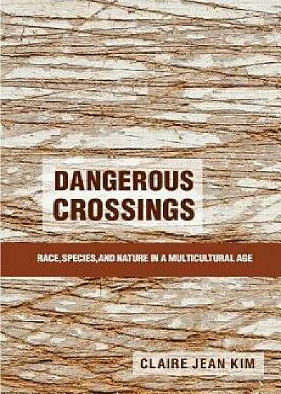 Dangerous Crossings, Paperback/Claire Jean Kim