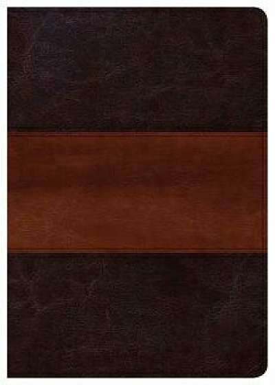 CSB Large Print Personal Size Reference Bible, Classic Mahogany Leathertouch/Csb Bibles by Holman