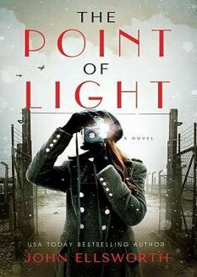 The Point of Light, Paperback/John Ellsworth