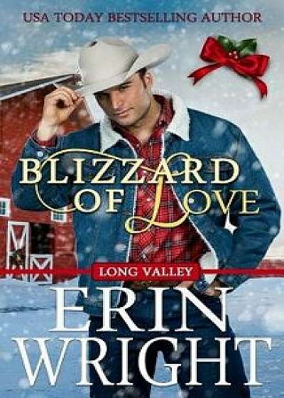 Blizzard of Love: A Long Valley Romance Novella, Paperback/Erin Wright
