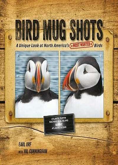 Bird Mug Shots: A Unique Look at North America's Most Wanted Birds, Paperback/Earl Orf