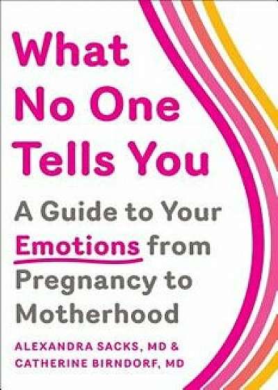 What No One Tells You: A Guide to Your Emotions from Pregnancy to Motherhood, Paperback/Alexandra Sacks
