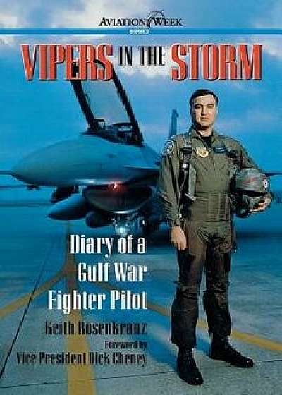 Vipers in the Storm: Diary of a Gulf War Fighter Pilot, Paperback/Keith Rosenkranz