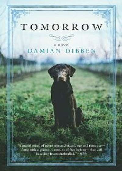 Tomorrow, Paperback/Damian Dibben