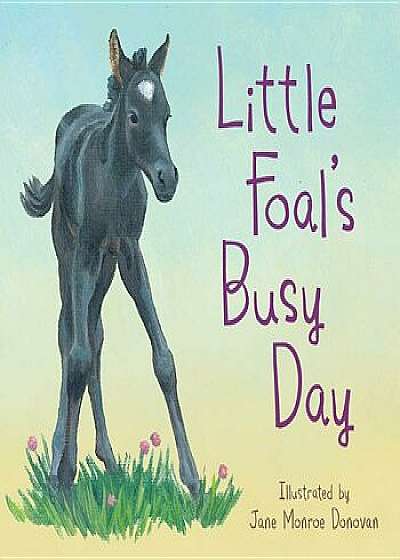 Coperta cărții Little Foal's Busy Day/Sleeping Bear Press