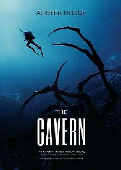 The Cavern, Paperback/Alister Hodge