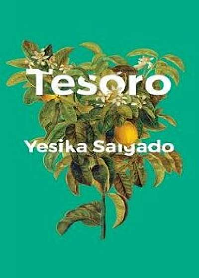 Tesoro, Hardcover/Yesika Salgado