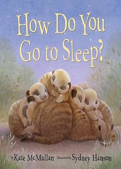 How Do You Go to Sleep?/Kate McMullan